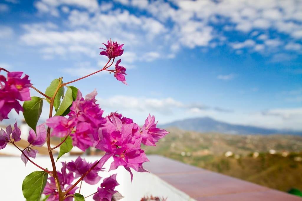 CutarRooftop Terrace & Panoramic Mountain View'S别墅 外观 照片